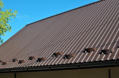 Roof and Eaves Painting
